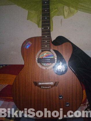 Givson guitar for sale